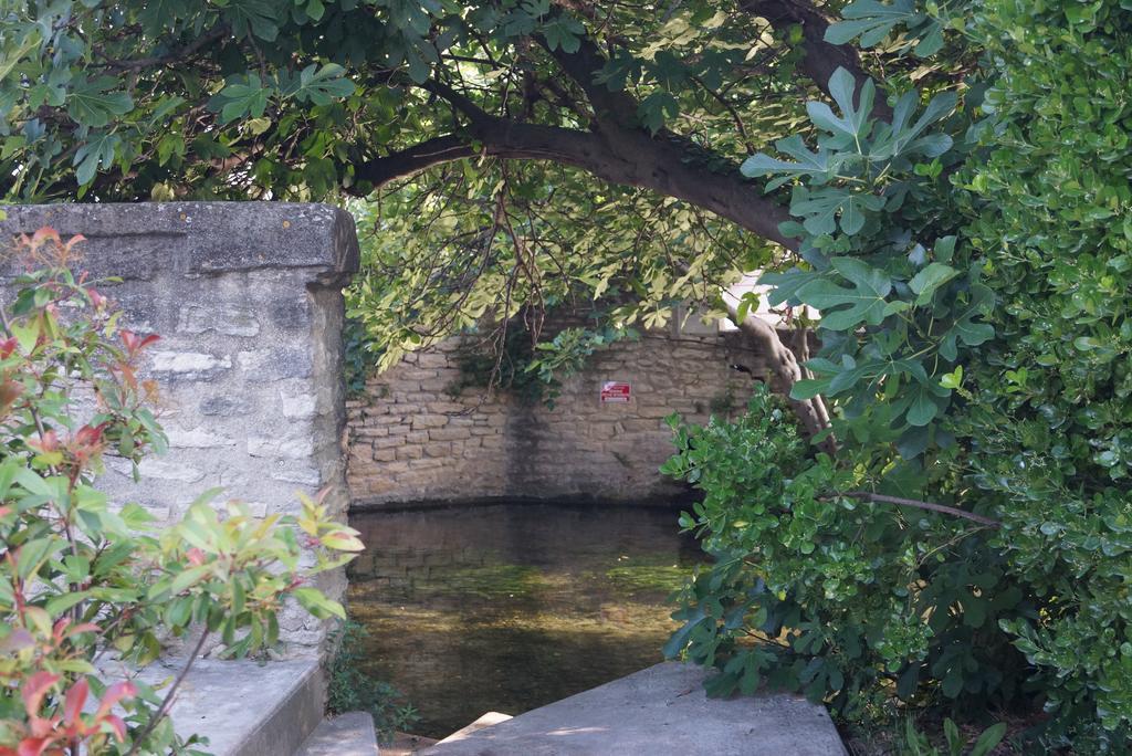Appartamento Colombe LʼIsle-sur-la-Sorgue Esterno foto